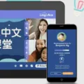 Bingung Mau Belajar Bahasa Mandarin Dimana LingoAce Solusinya